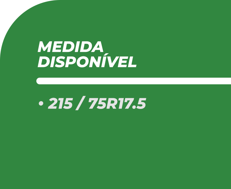 MEDIDAS